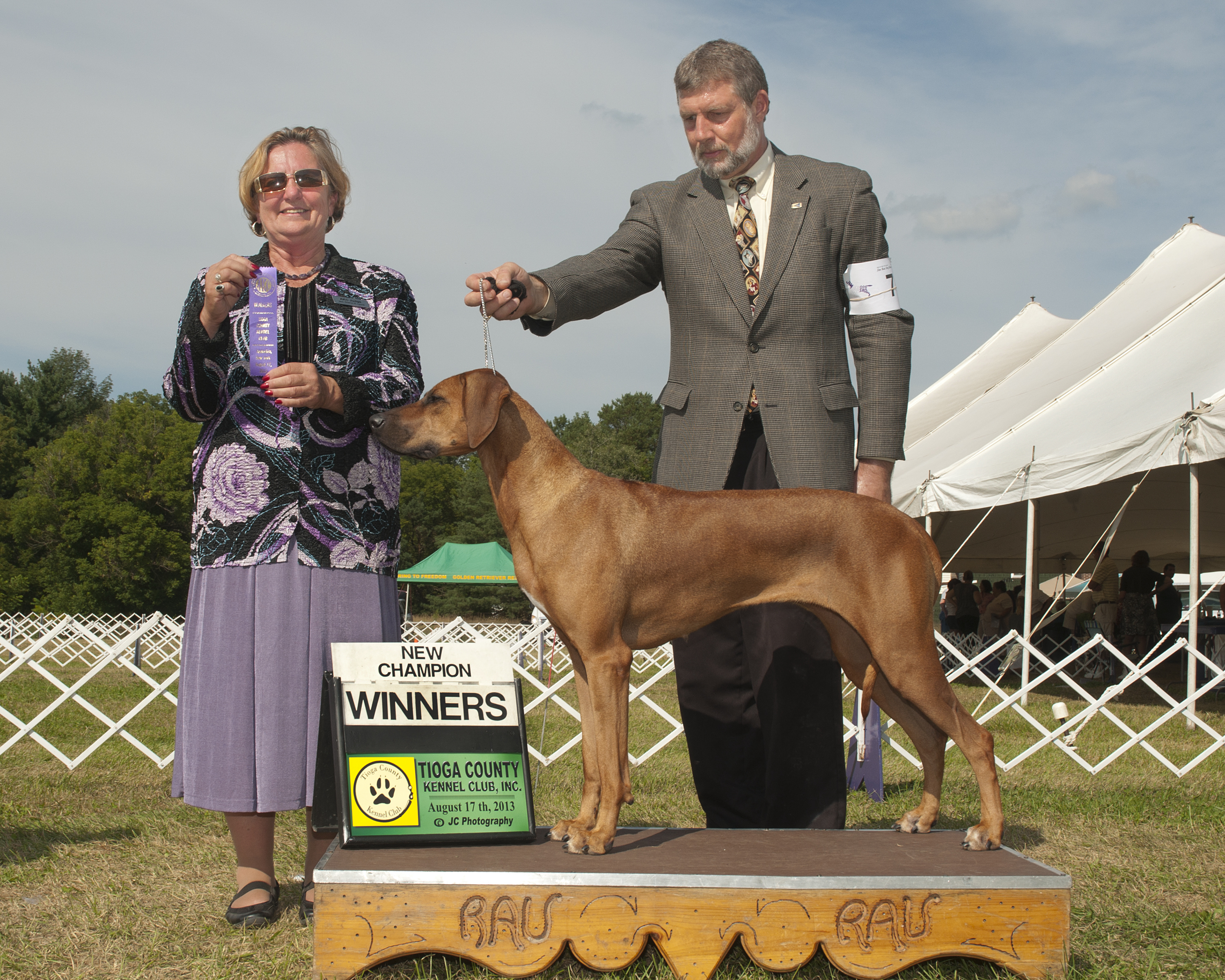 Mallory Ridgeback Retired/Foundation | MillaBella Rhodesian Ridgebacks | Rhodesian ...