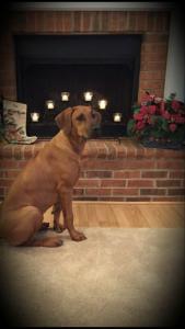 2015-12-249517.09.13