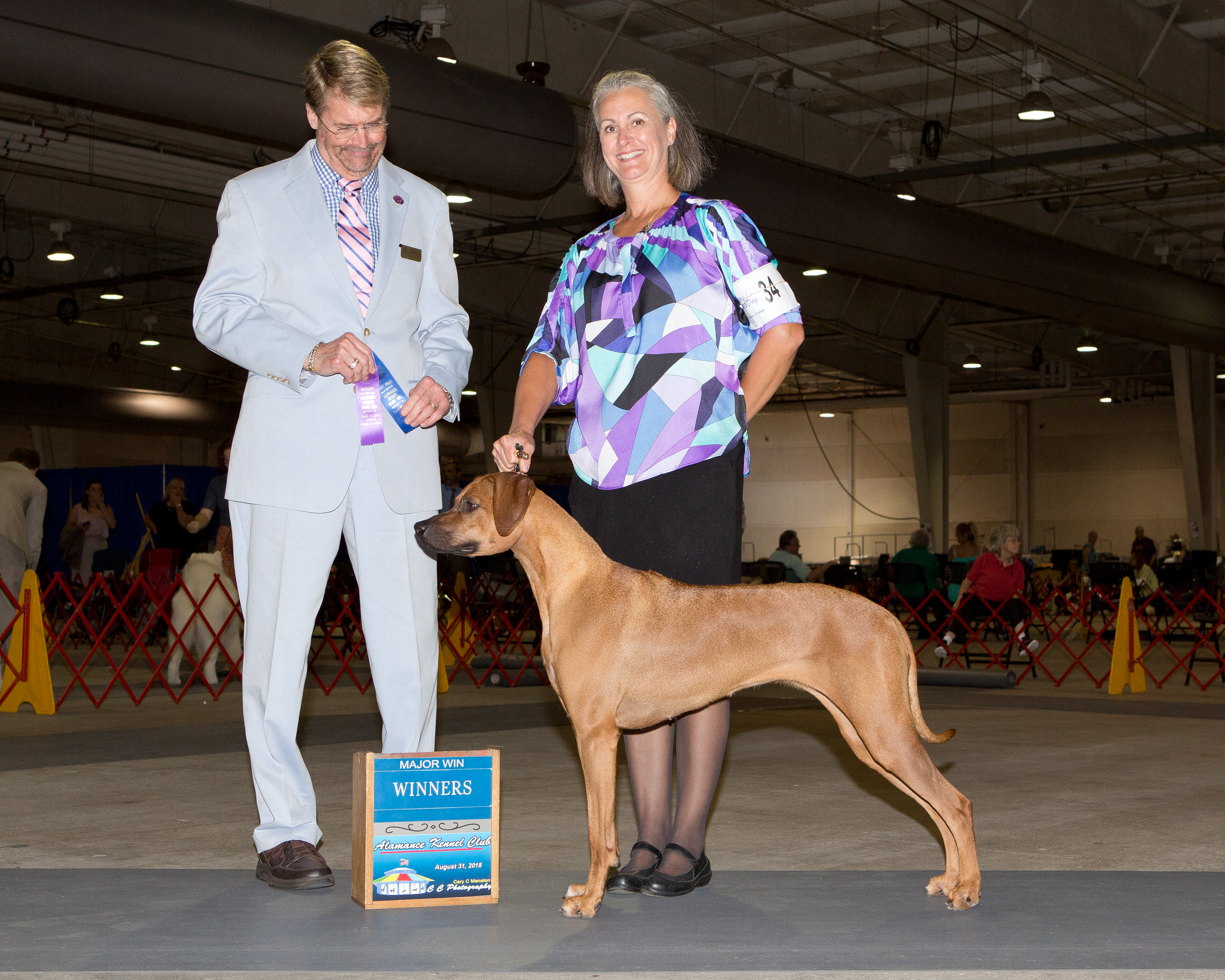 Carolina Ridgebacks RIVA | MillaBella Rhodesian Ridgebacks | Rhodesian Ridgeback Breeder ...