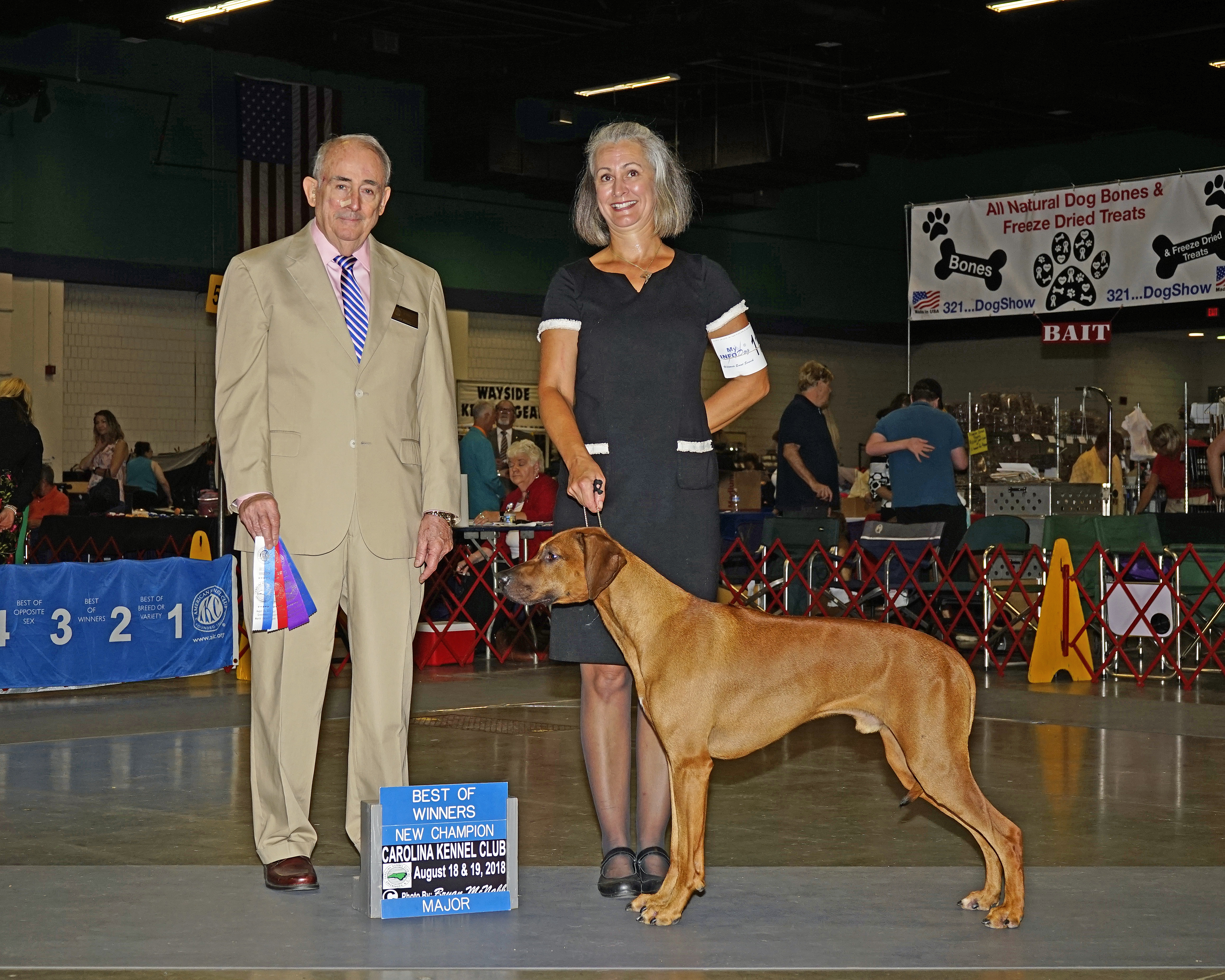 Carolina Ridgebacks VIRGIL | MillaBella Rhodesian Ridgebacks | Rhodesian Ridgeback Breeder ...