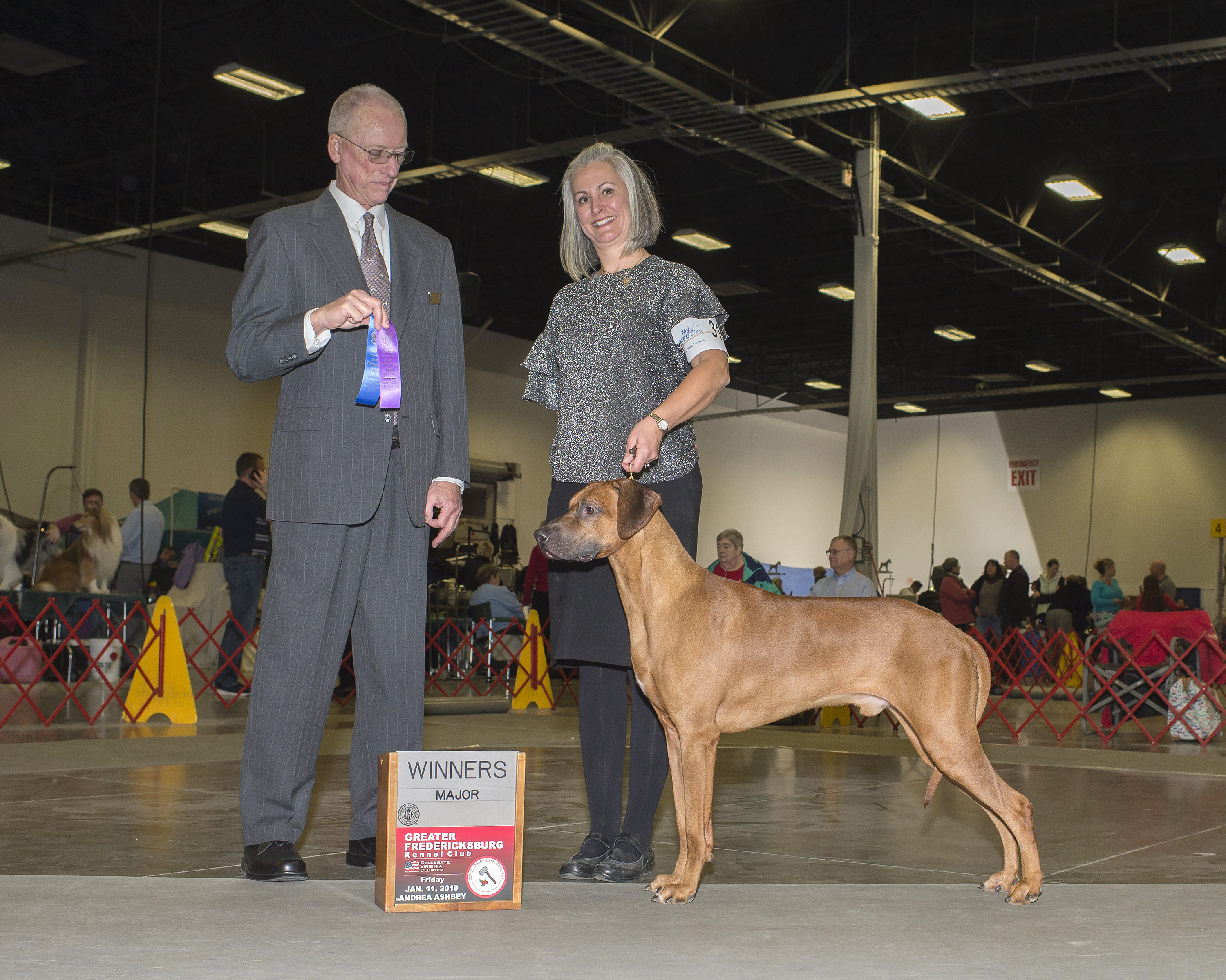 Carolina Ridgebacks CLUTCH | MillaBella Rhodesian Ridgebacks | Rhodesian Ridgeback Breeder ...