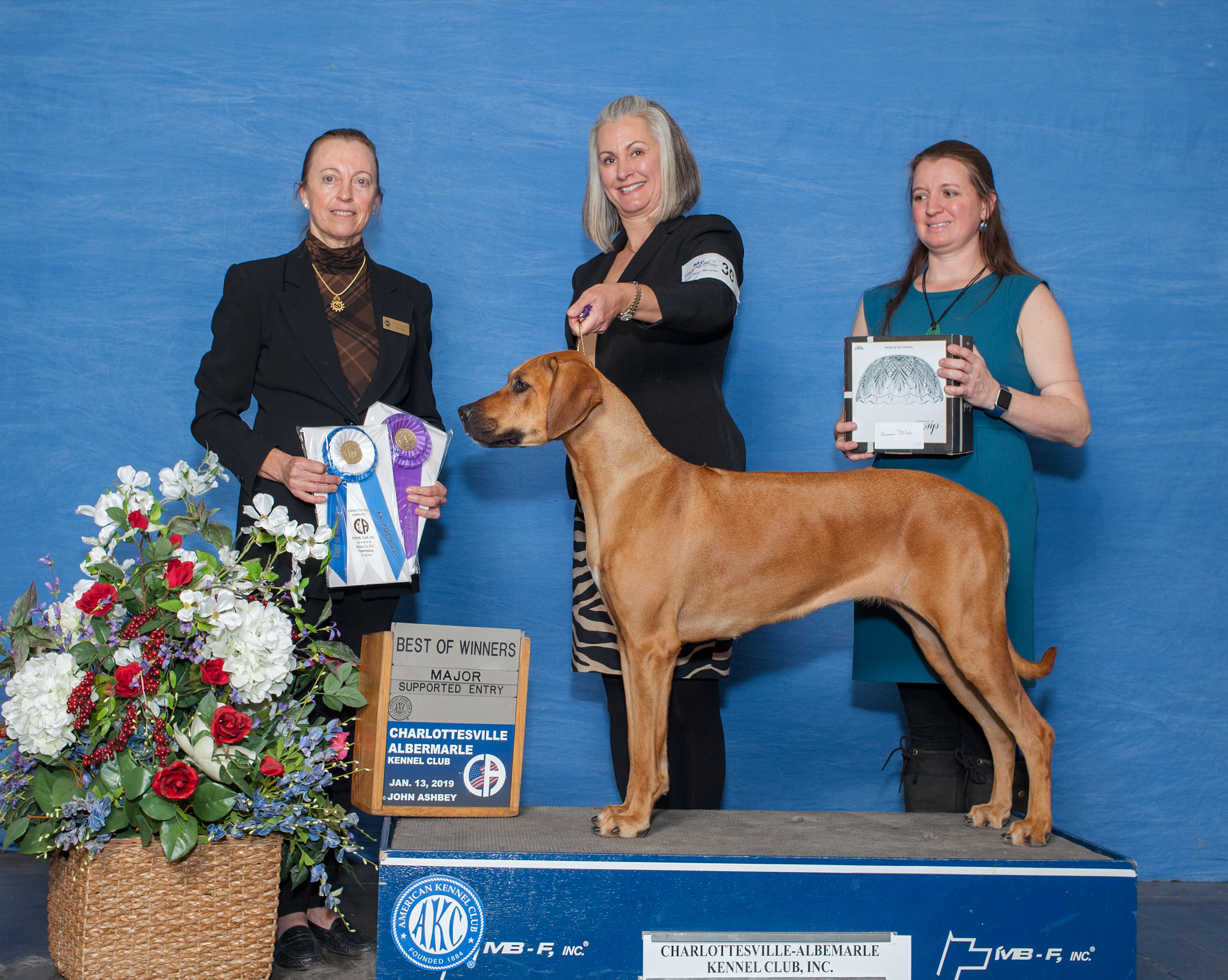 Carolina Ridgebacks TILLY | MillaBella Rhodesian Ridgebacks | Rhodesian Ridgeback Breeder ...