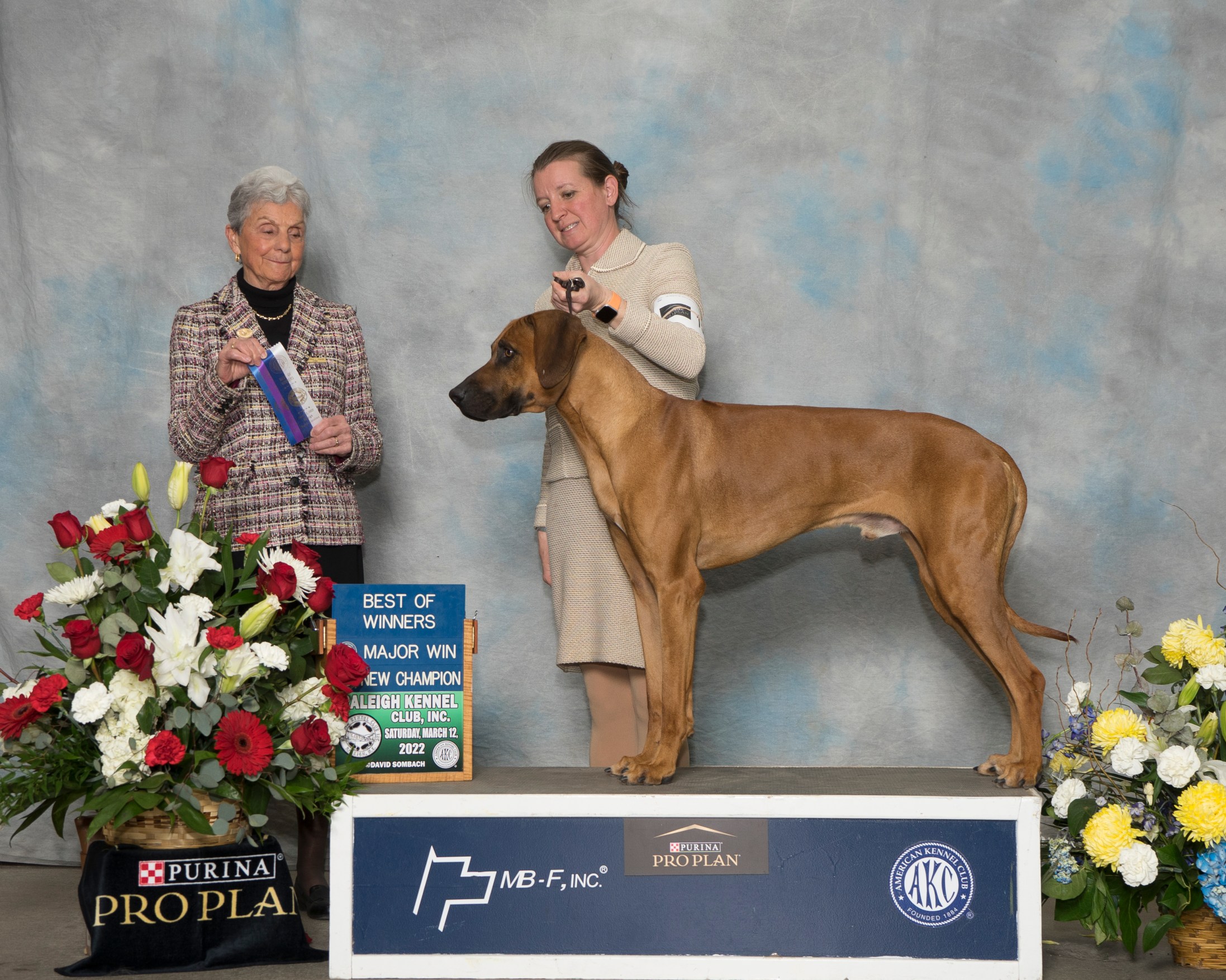 Carolina Ridgebacks AURIC | MillaBella Rhodesian Ridgebacks | Rhodesian Ridgeback Breeder ...