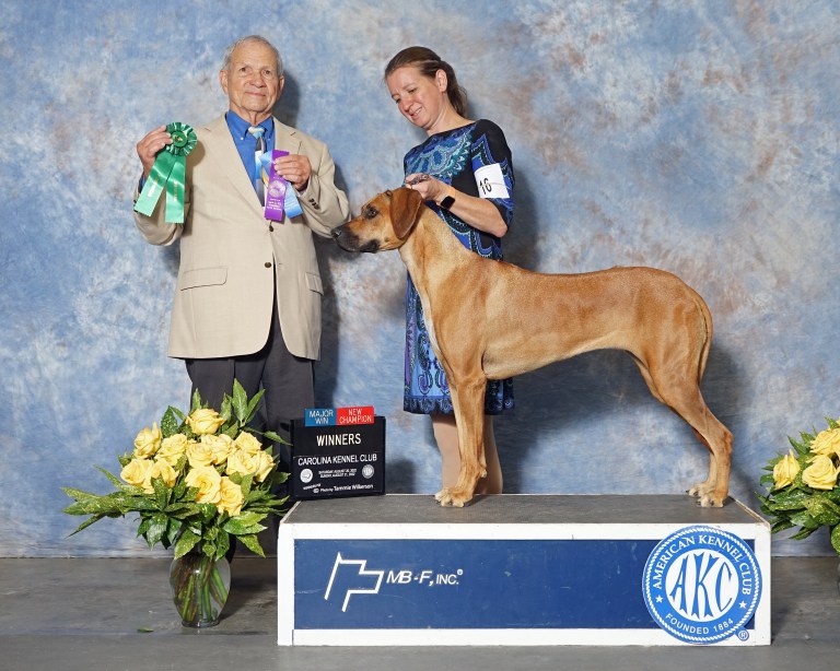 EVA | MillaBella Rhodesian Ridgebacks | Rhodesian Ridgeback Breeder ...