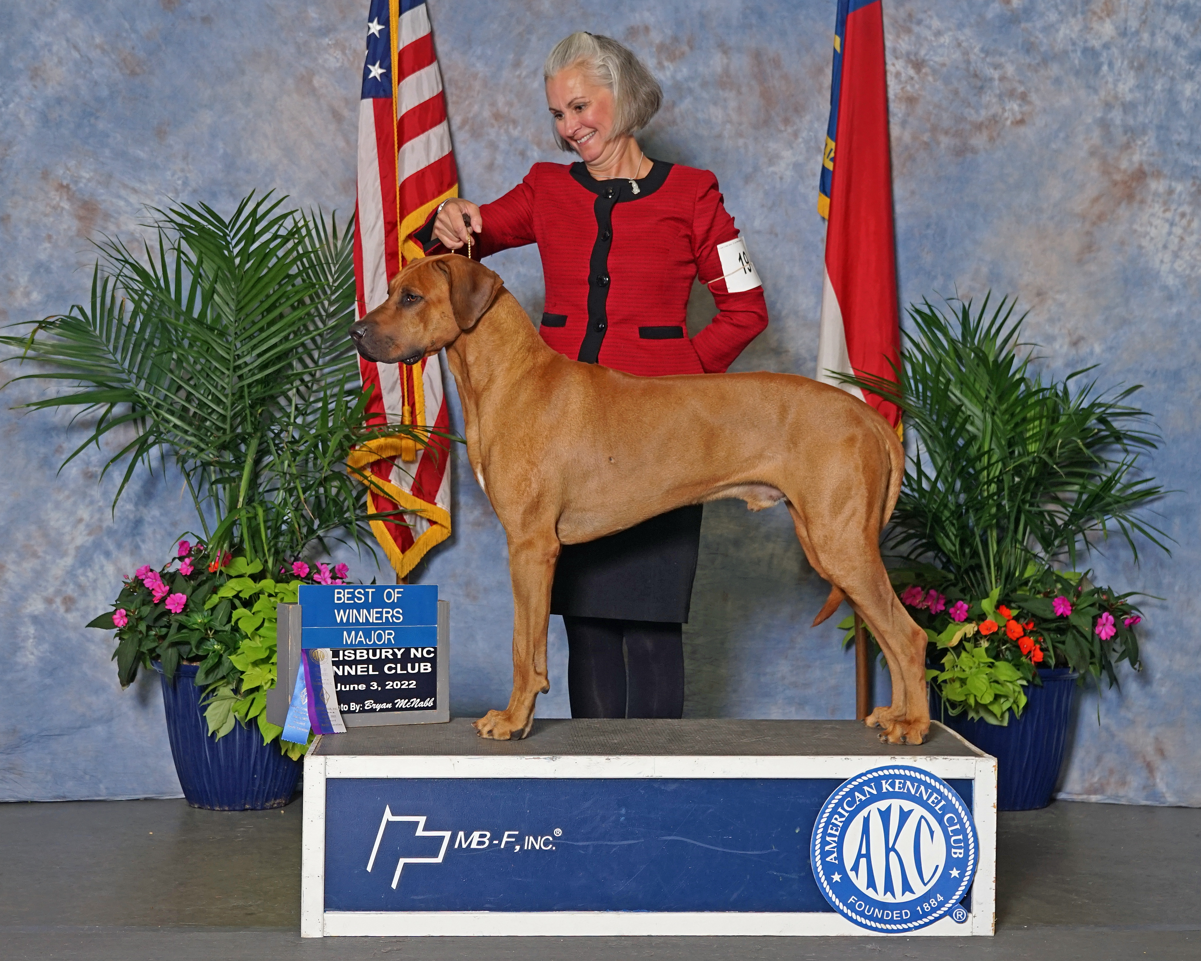 Carolina Ridgebacks LEO | MillaBella Rhodesian Ridgebacks | Rhodesian Ridgeback Breeder ...