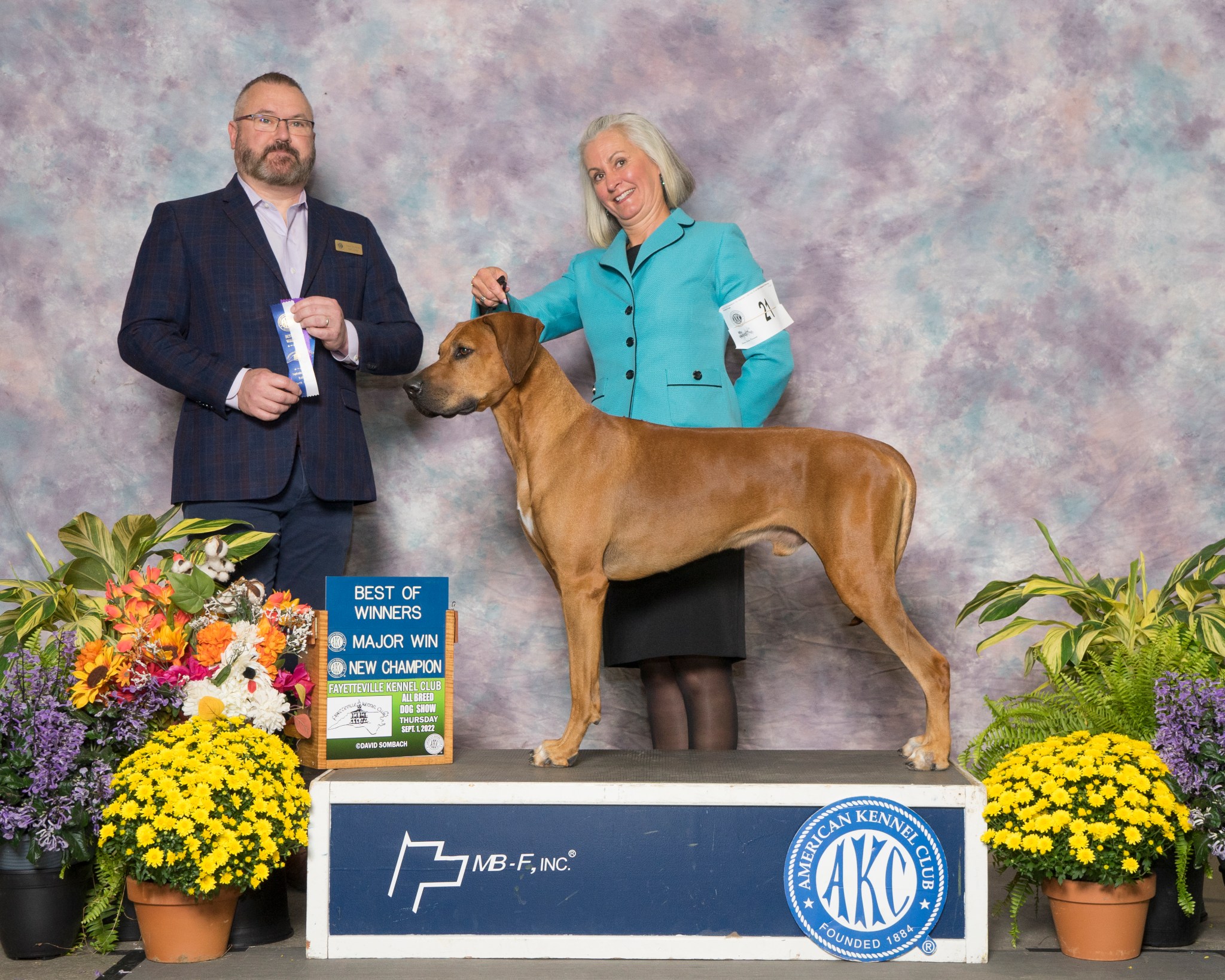 Carolina Ridgebacks LOKI | MillaBella Rhodesian Ridgebacks | Rhodesian Ridgeback Breeder ...